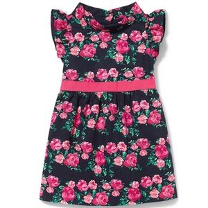 NWT Janie and Jack Rose Mock Neck Dress